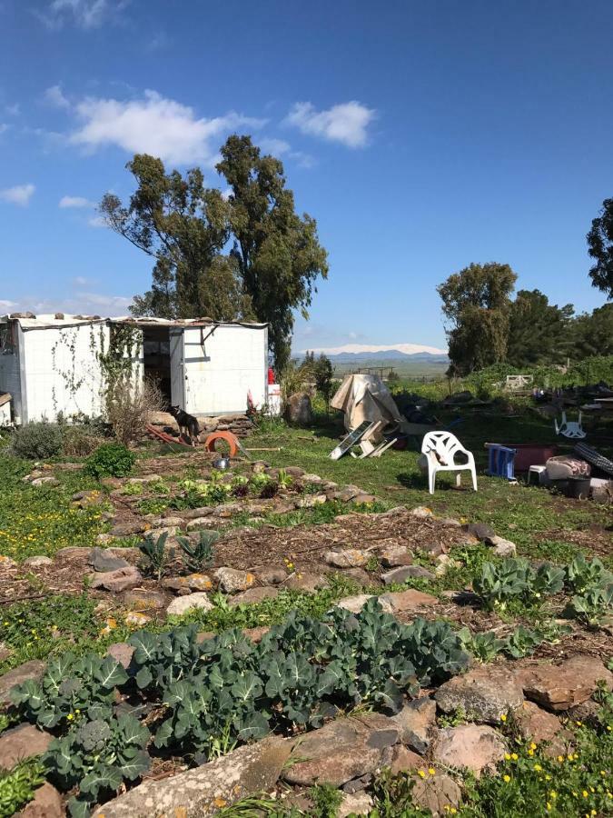 Natura-Eco Farm Bagian luar foto