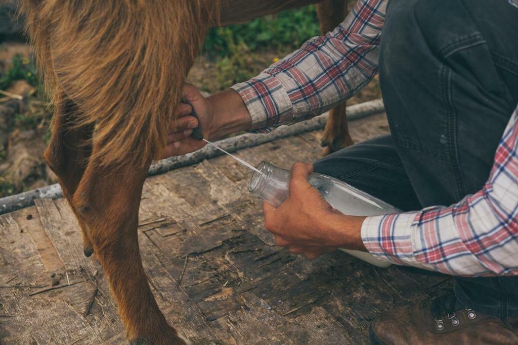 Natura-Eco Farm Bagian luar foto